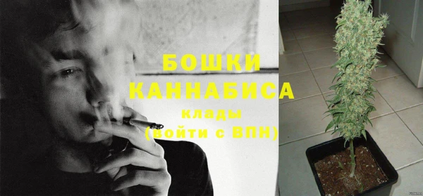дурь Балахна