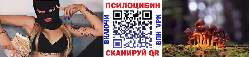 Псилоцибиновые грибы Psilocybe Купить где Горбатов
